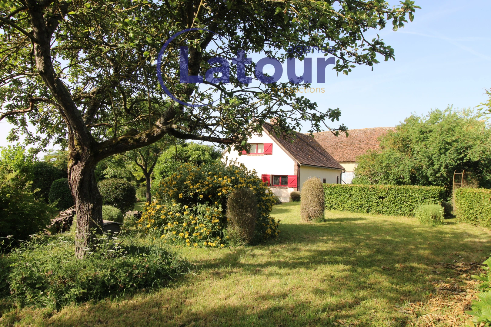 property